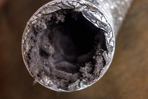 Best Duct Cleaning for Homes  in Rock Island, WA