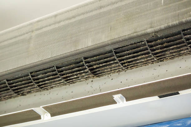 HVAC System Cleaning in WA